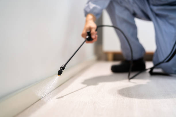 Best Pest Inspection Near Me  in Justice, OK