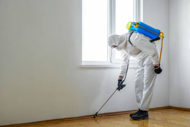 Best Residential Pest Control  in Justice, OK