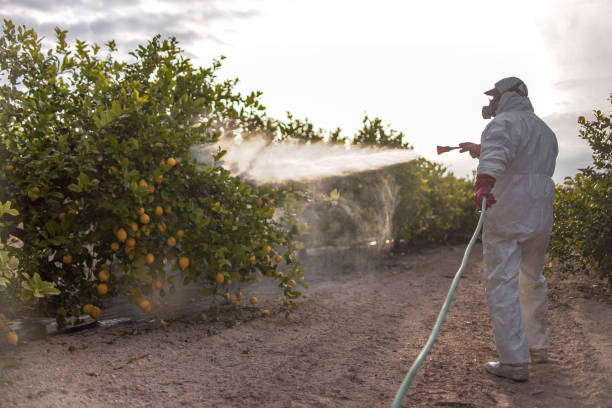 Best Pest Removal Services  in Justice, OK