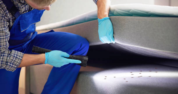 Best Mosquito Control Services  in Justice, OK
