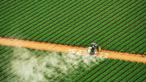 Best Local Pest Control Services  in Justice, OK